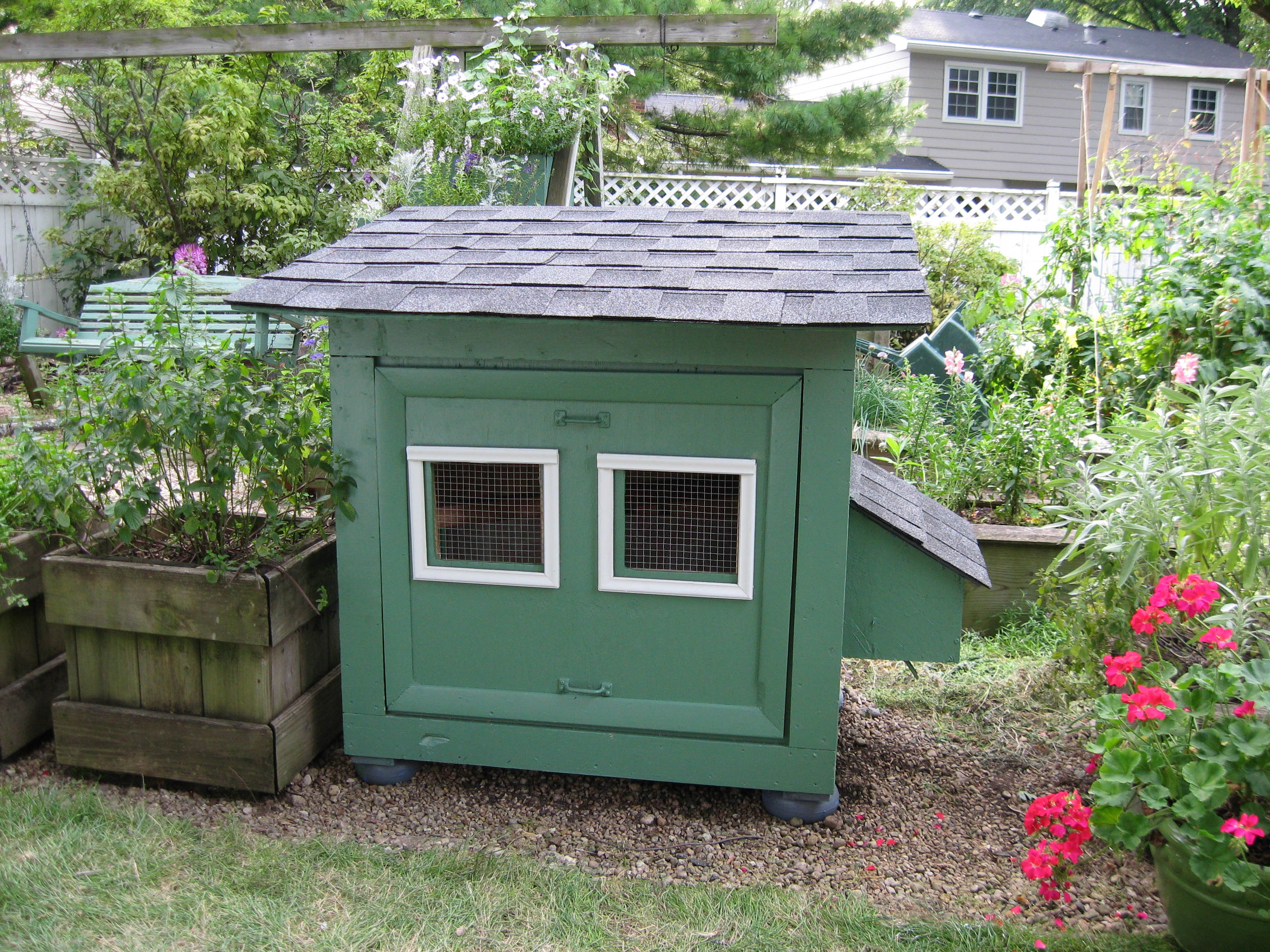 An urban chicken house